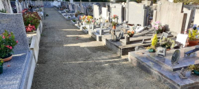 Engazonnement des all�es des cimeti�res