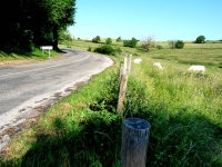 		La l�gende du chemin Pillot, une r�volte des femmes.