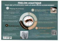 Lutte contre le Frelon Asiatique