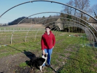 Des l�gumes du potager en vente directe !