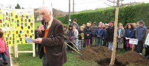 Plantation d'un arbre de la la�cit�